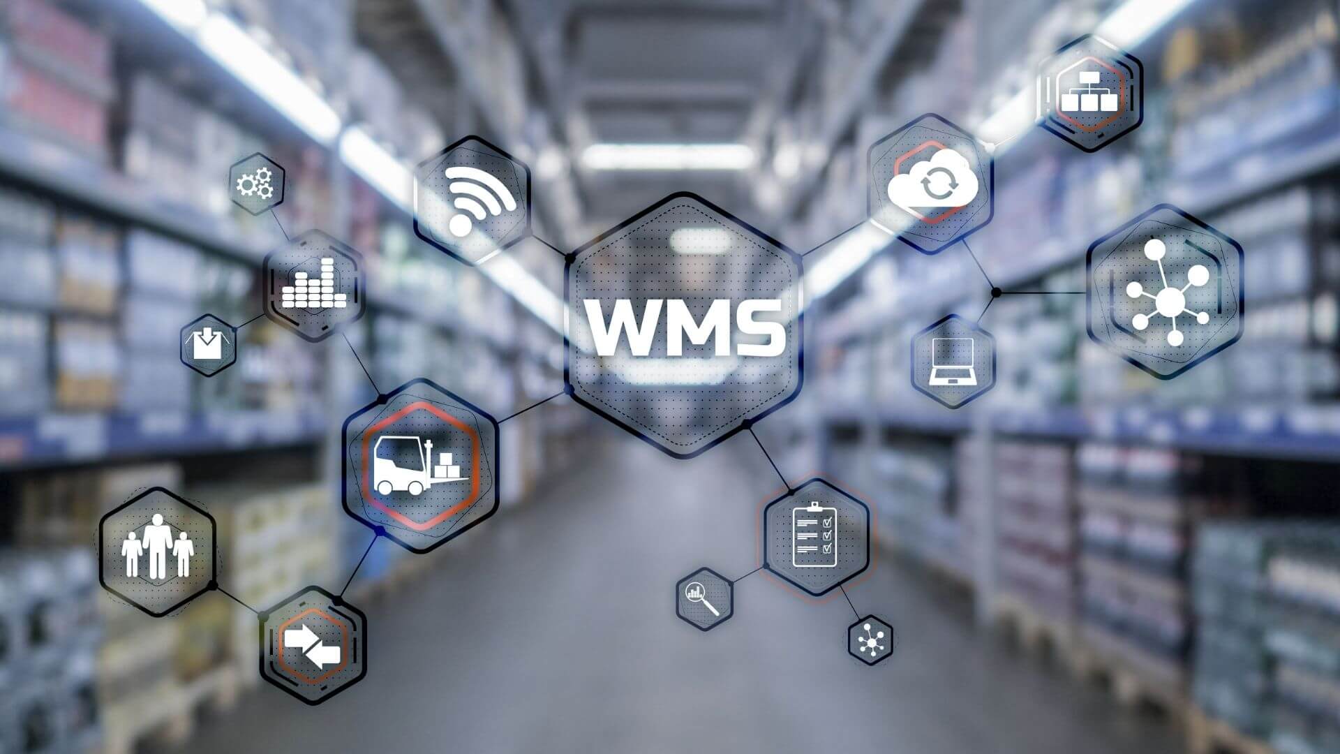 WMS (Warehouse Management System)